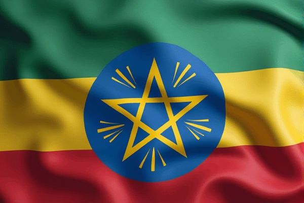 Online Paid Job Opportunities in Ethiopia
